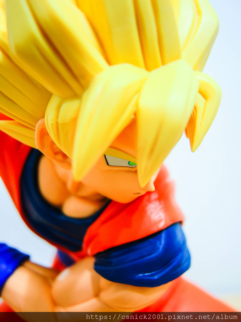 DSCN1501.jpg DSCN1501.jpg