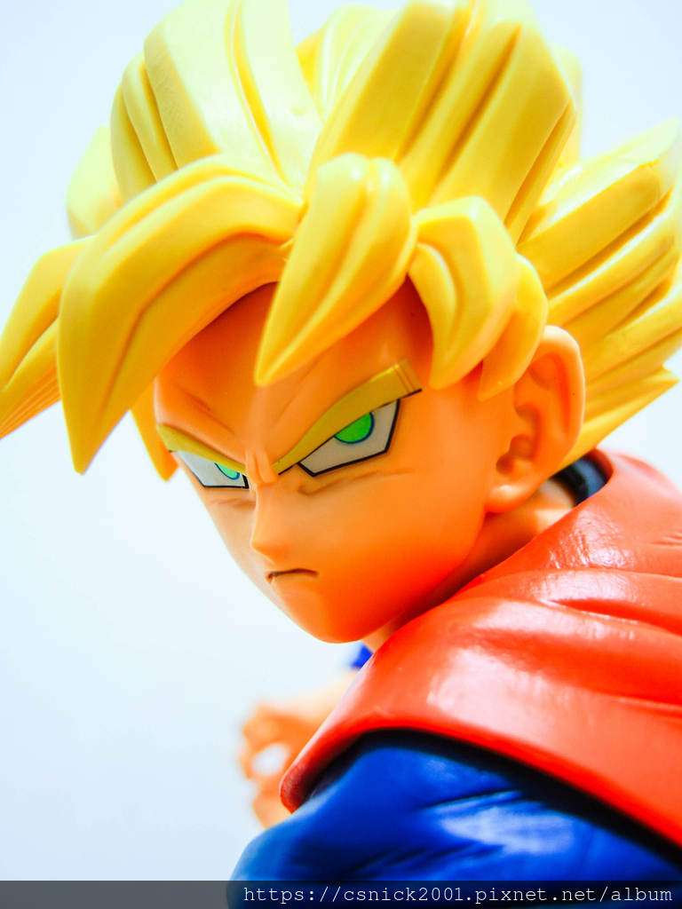 DSCN1500.jpg DSCN1500.jpg