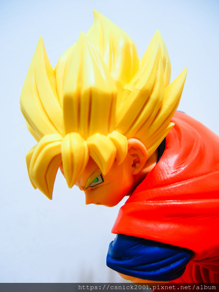 DSCN1504.jpg DSCN1504.jpg