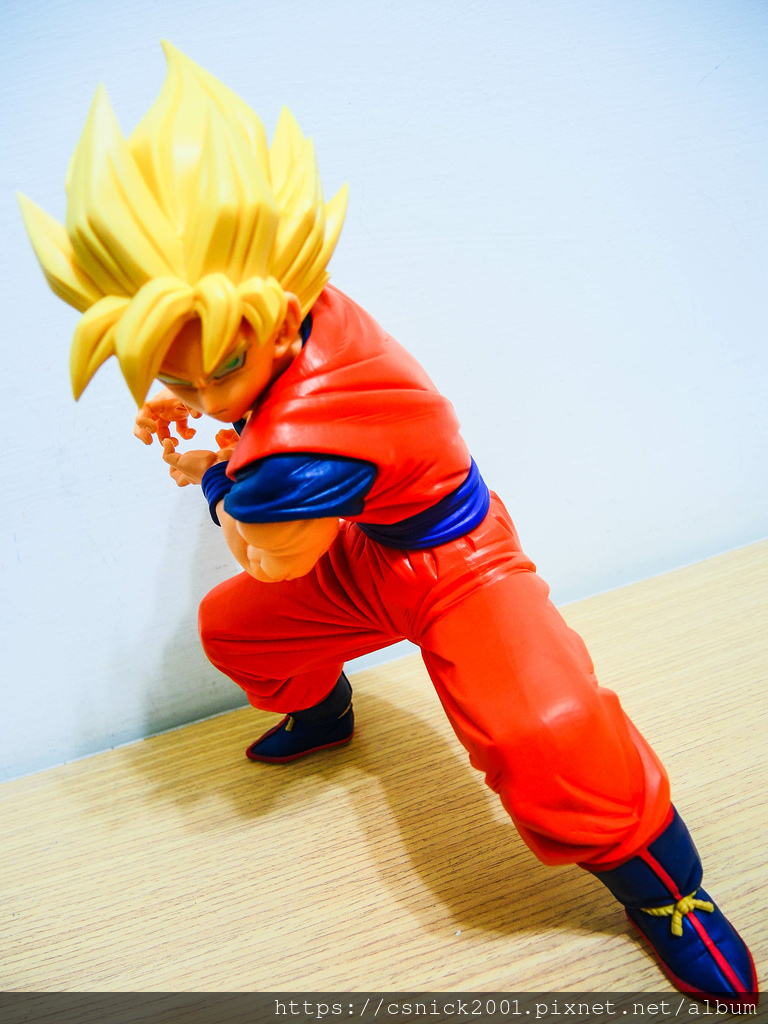 DSCN1508.jpg DSCN1508.jpg