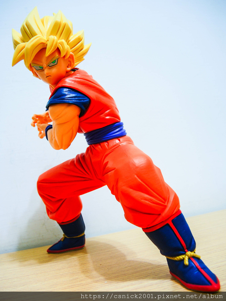 DSCN1509.jpg DSCN1509.jpg