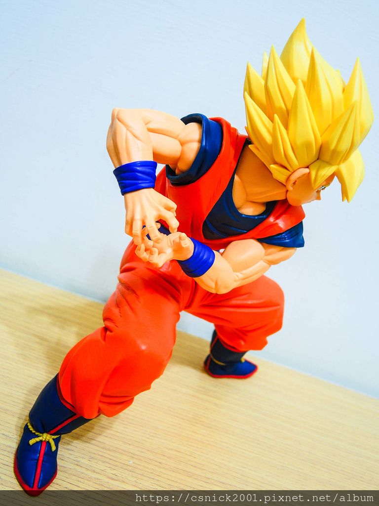 DSCN1510.jpg DSCN1510.jpg