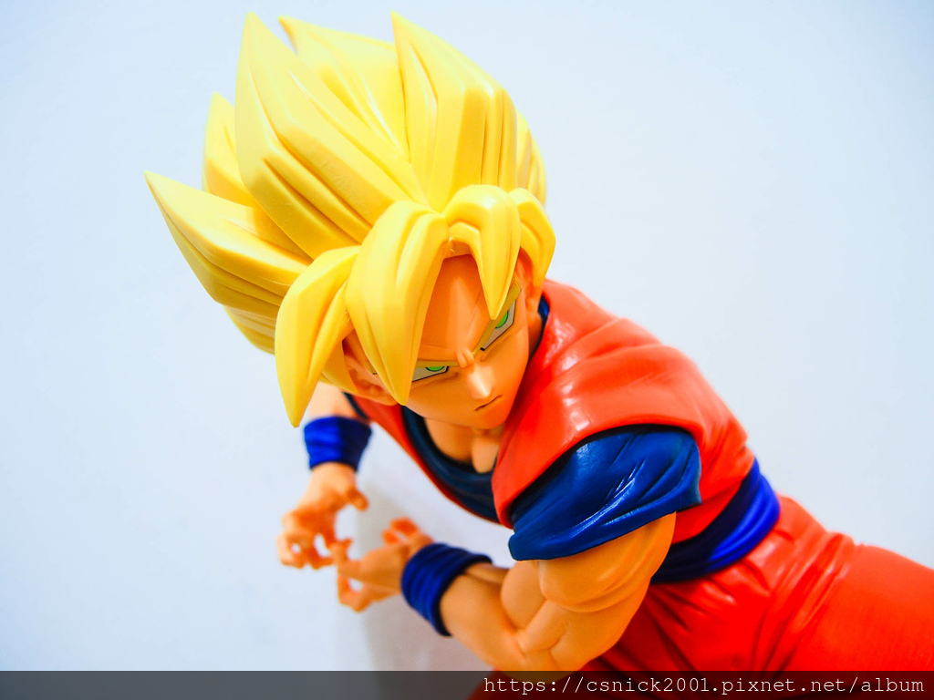 DSCN1513.jpg DSCN1513.jpg