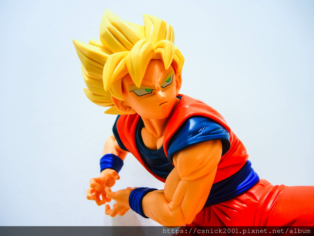 DSCN1514.jpg DSCN1514.jpg