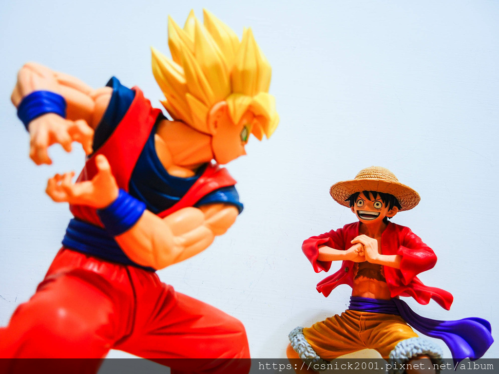 DSCN1517.jpg DSCN1517.jpg