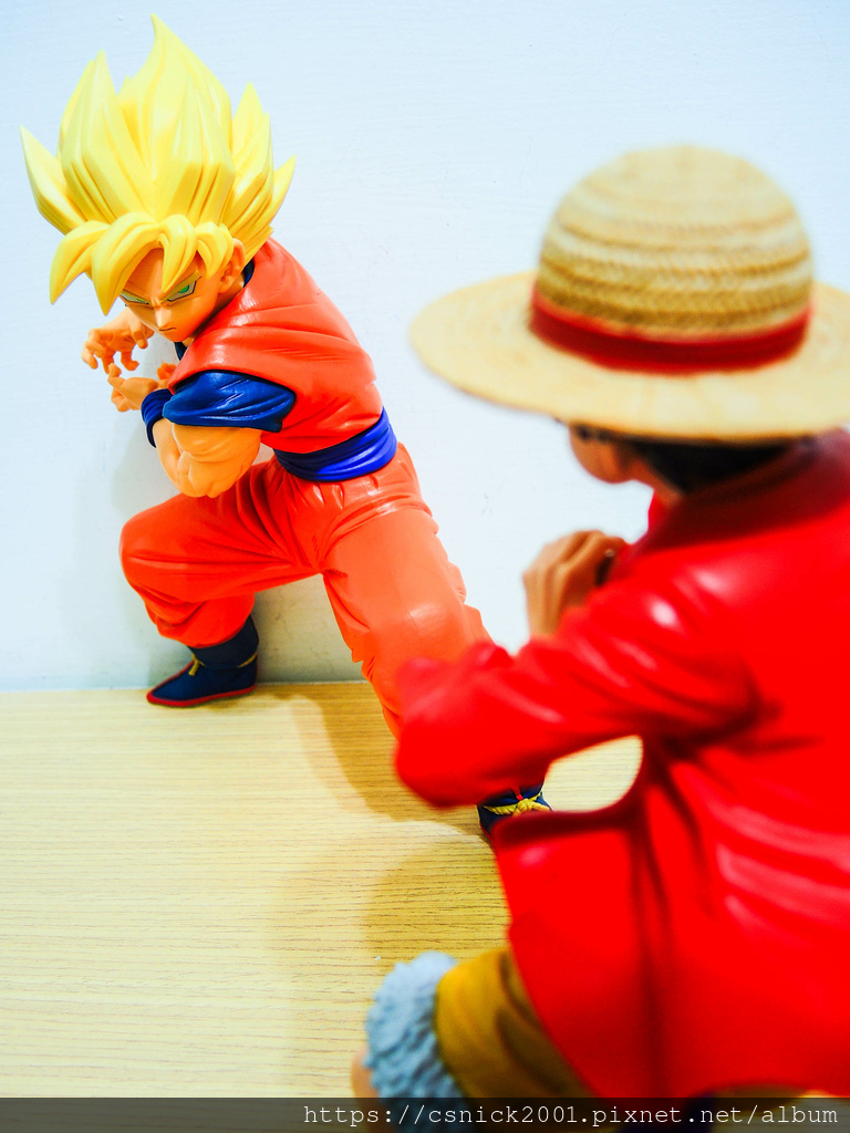 DSCN1516.jpg DSCN1516.jpg