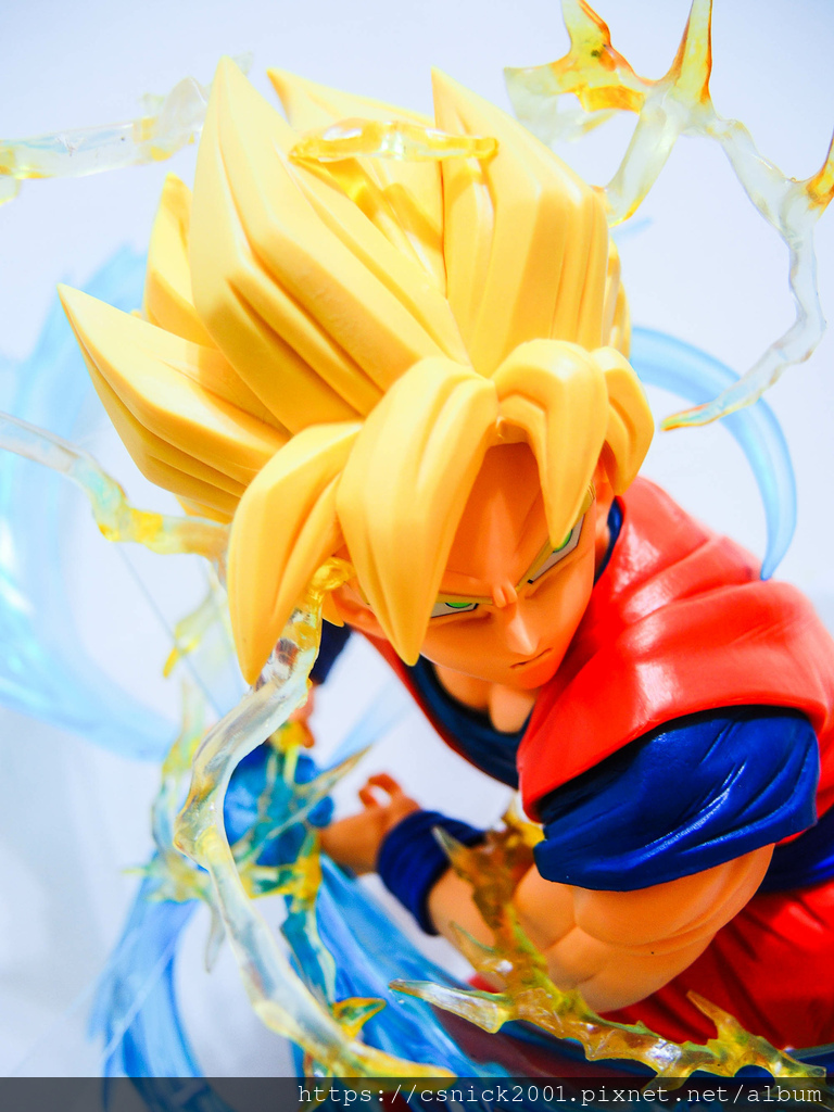 DSCN1519.jpg DSCN1519.jpg