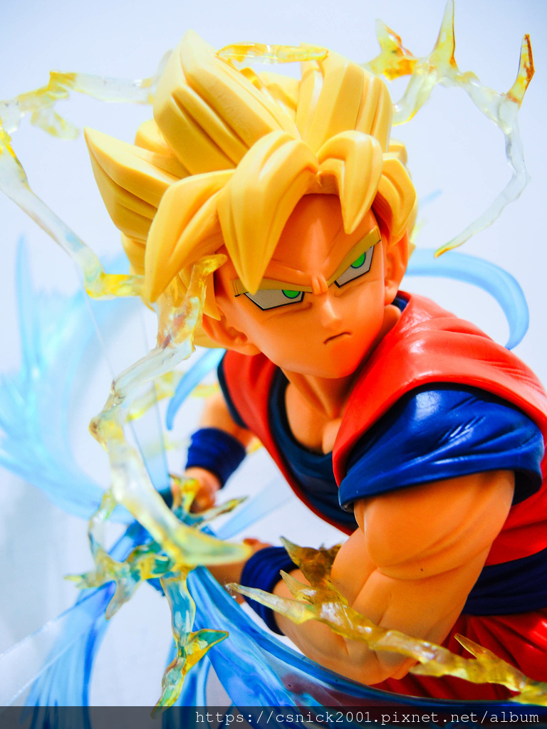 DSCN1520.jpg DSCN1520.jpg