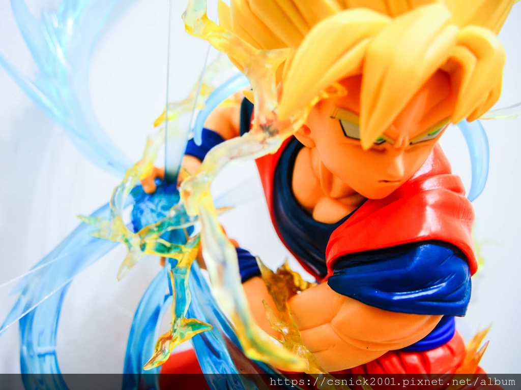 DSCN1529.jpg DSCN1529.jpg