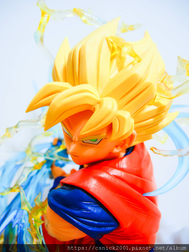 DSCN1528.jpg DSCN1528.jpg