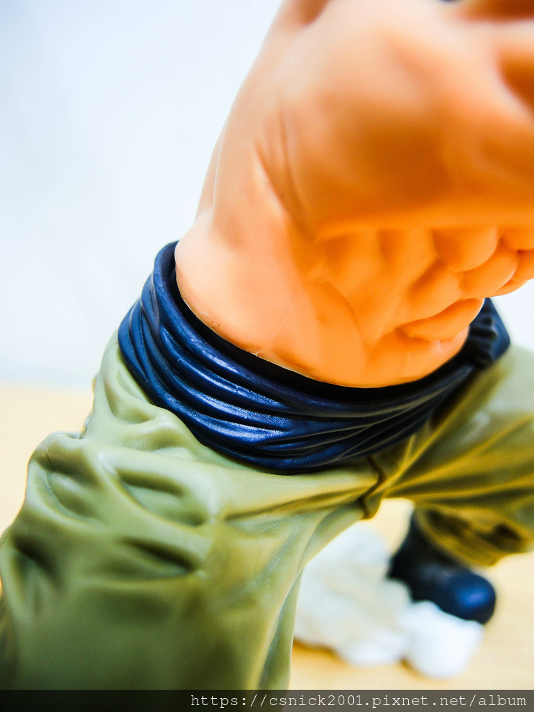 DSCN6921.jpg DSCN6921.jpg