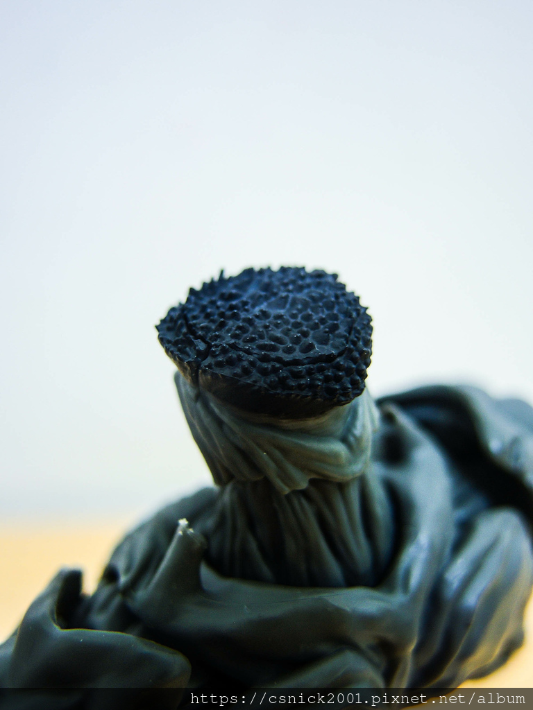 DSCN7204.jpg DSCN7204.jpg