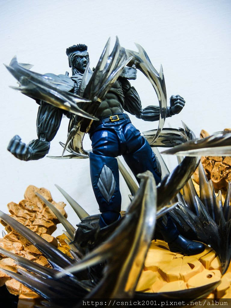 DSCN7243.jpg DSCN7243.jpg