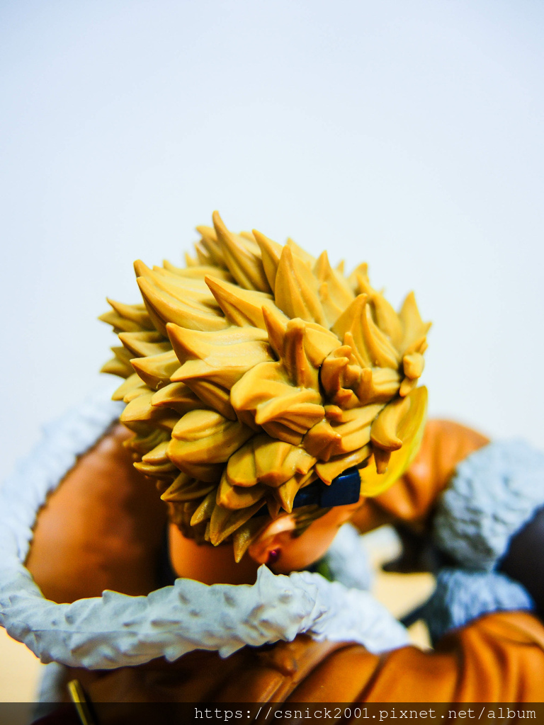 DSCN7843.jpg DSCN7843.jpg