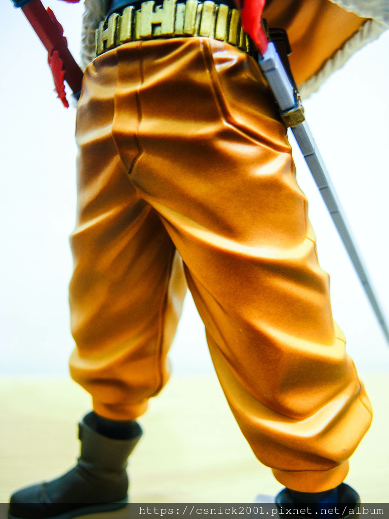 DSCN7881.jpg DSCN7881.jpg