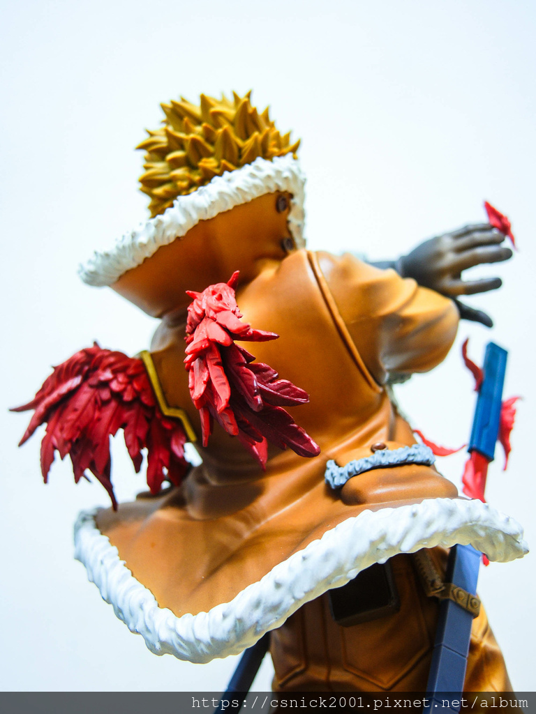 DSCN8115.jpg DSCN8115.jpg