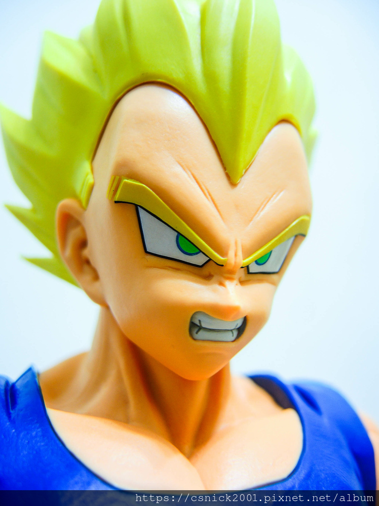 DSCN8176.jpg DSCN8176.jpg