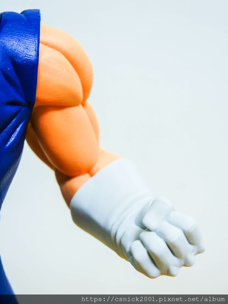 DSCN8195.jpg DSCN8195.jpg