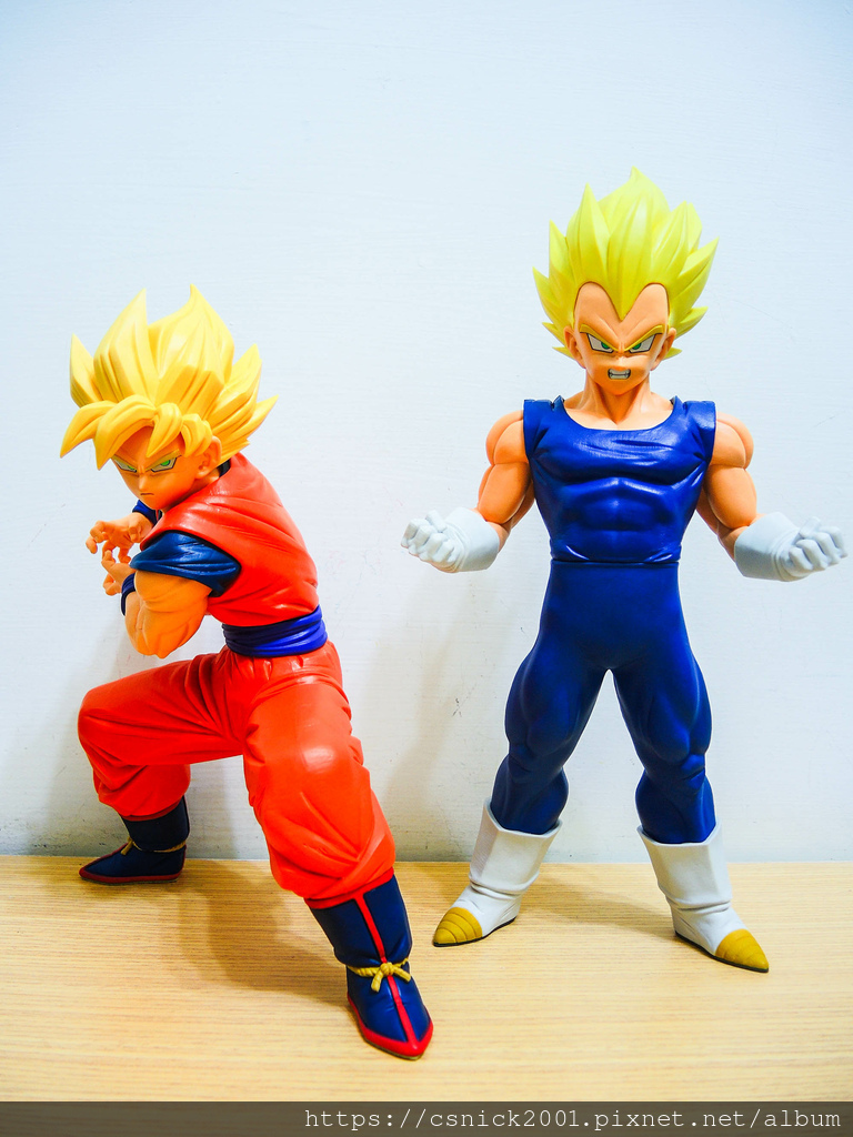 DSCN8276.jpg DSCN8276.jpg