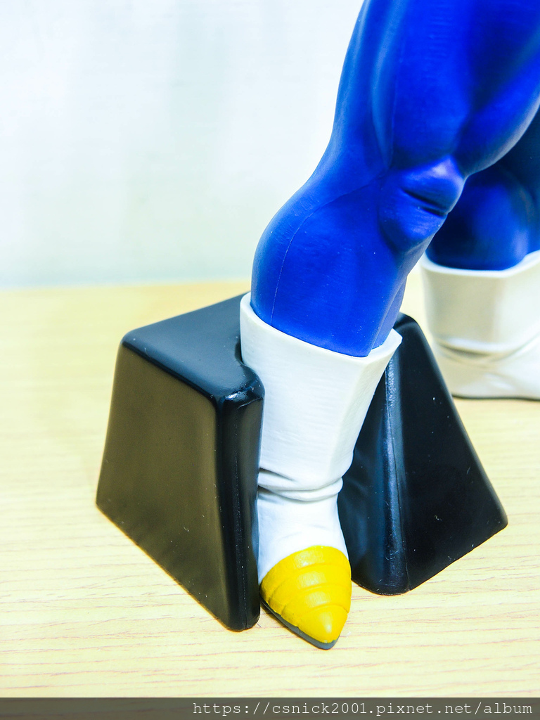 DSCN8222.jpg DSCN8222.jpg