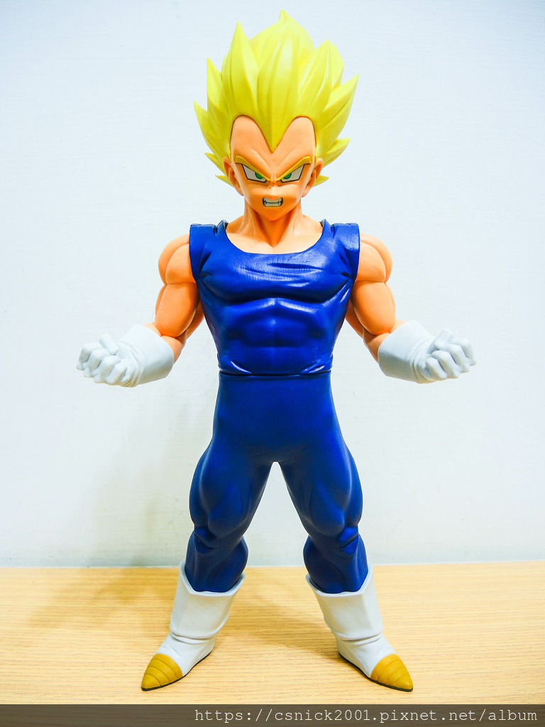 DSCN8228.jpg DSCN8228.jpg