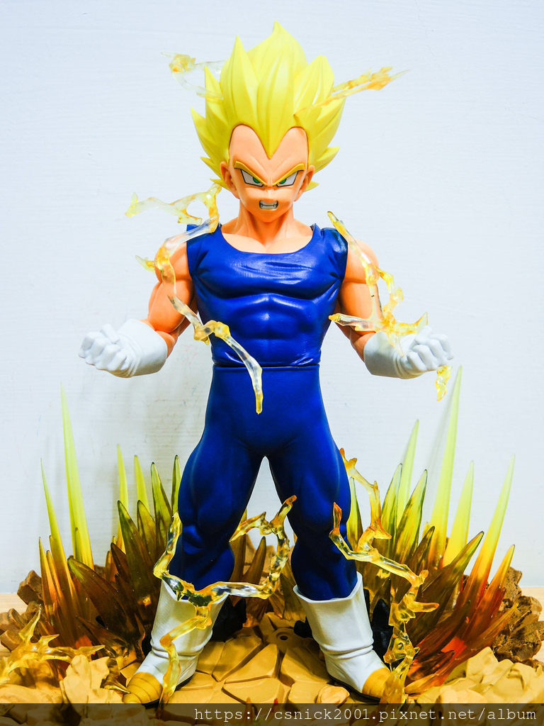 DSCN8608.jpg DSCN8608.jpg