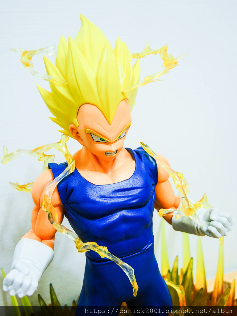 DSCN8617.jpg DSCN8617.jpg