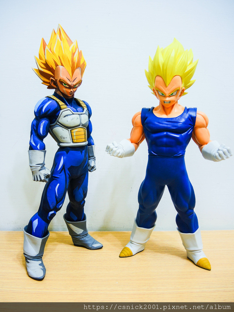 DSCN8289.jpg DSCN8289.jpg