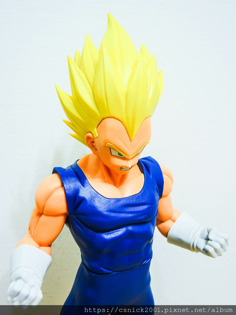 DSCN8702.jpg DSCN8702.jpg