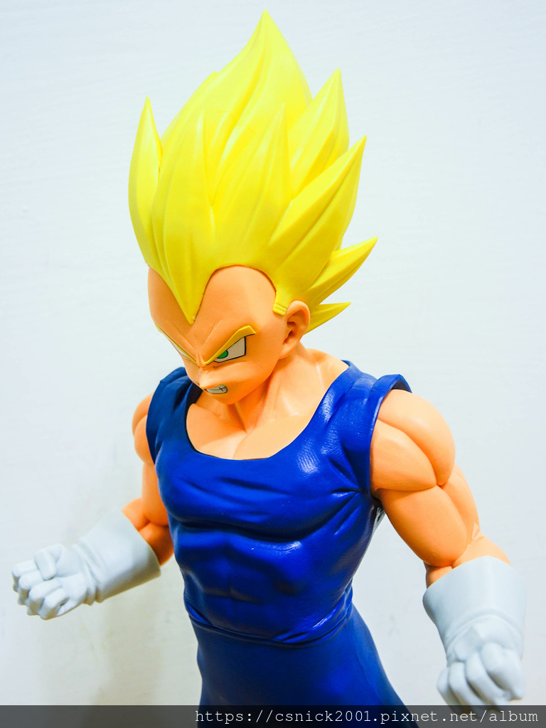 DSCN8705.jpg DSCN8705.jpg