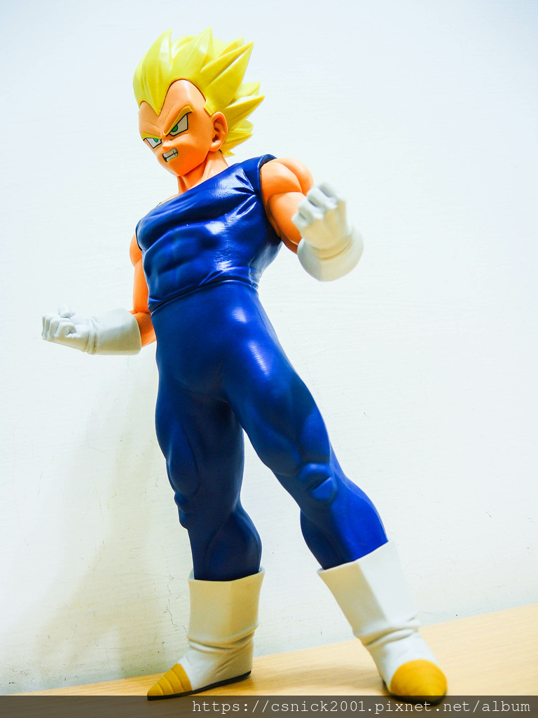 DSCN8706.jpg DSCN8706.jpg