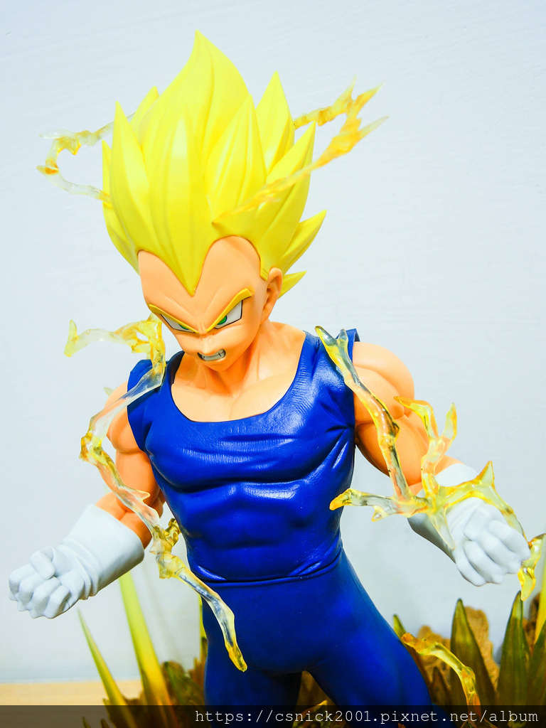 DSCN8711.jpg DSCN8711.jpg