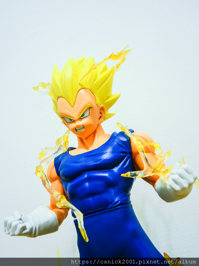 DSCN8712.jpg DSCN8712.jpg