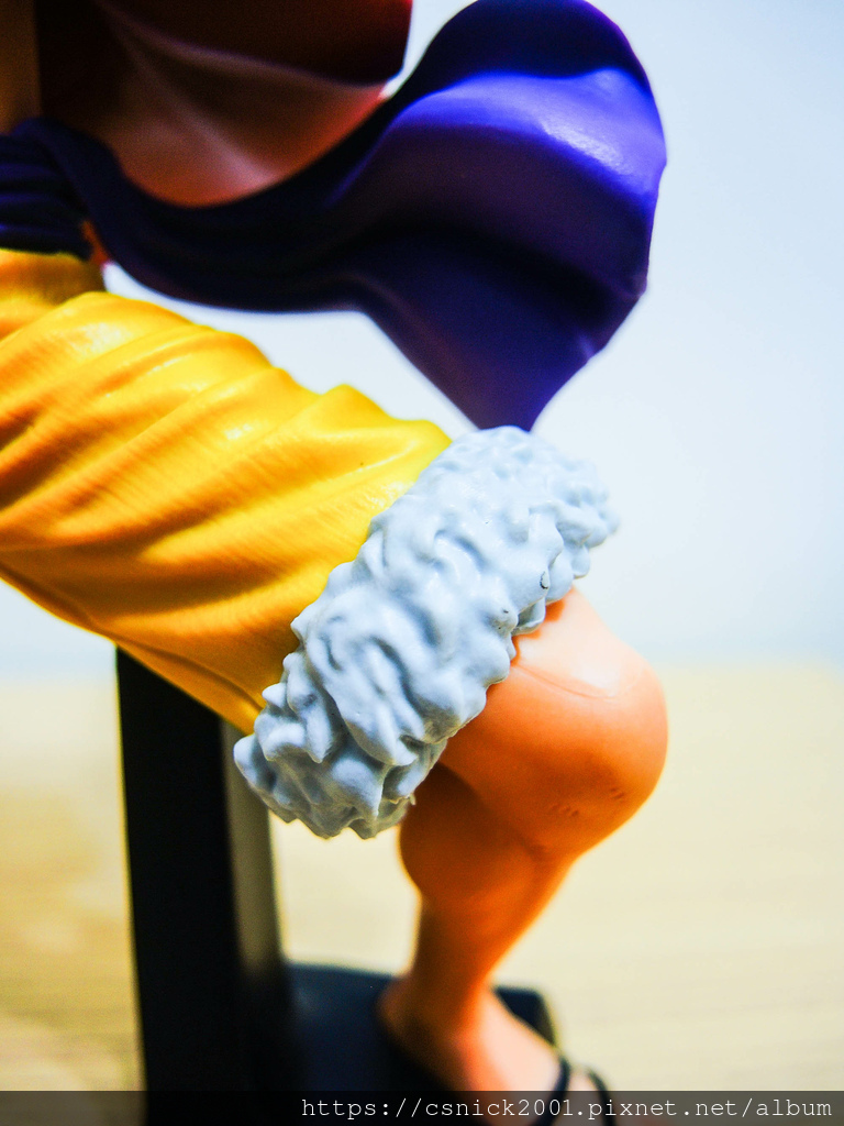 DSCN8485.jpg DSCN8485.jpg