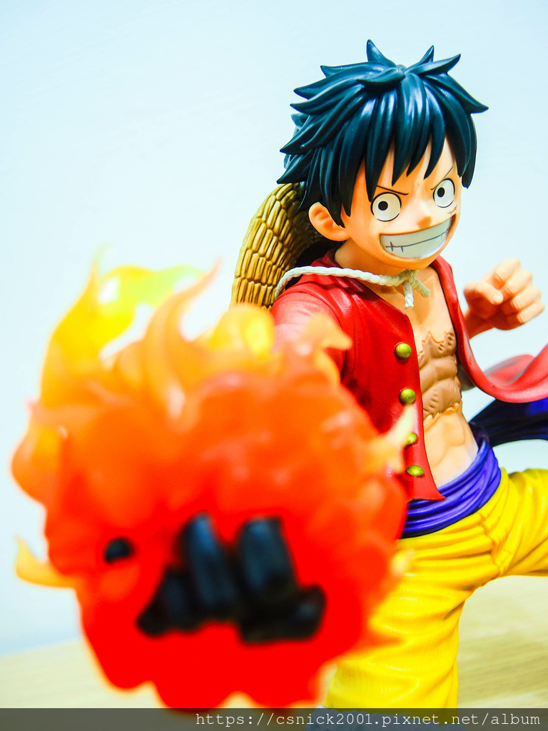 DSCN8493.jpg DSCN8493.jpg