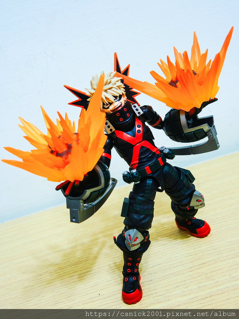 DSCN7096.jpg DSCN7096.jpg