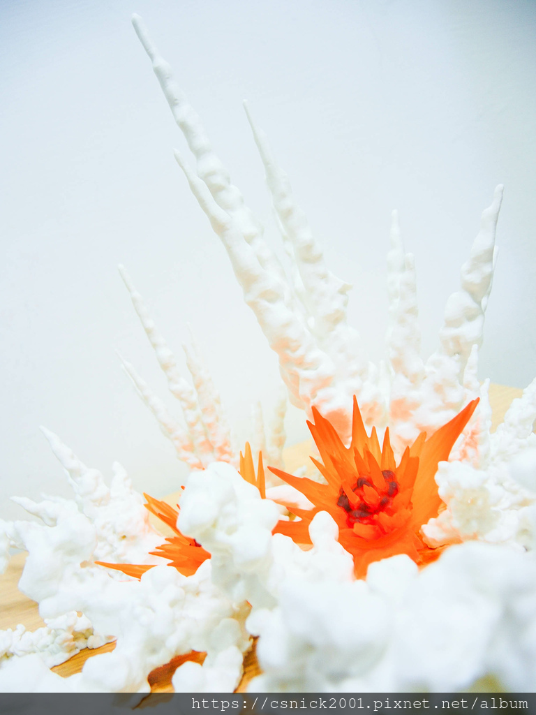 DSCN7098.jpg DSCN7098.jpg