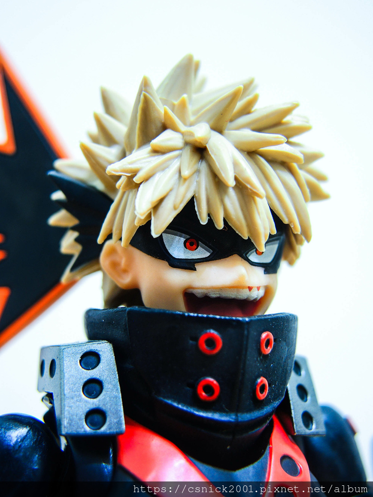 DSCN8801.jpg DSCN8801.jpg