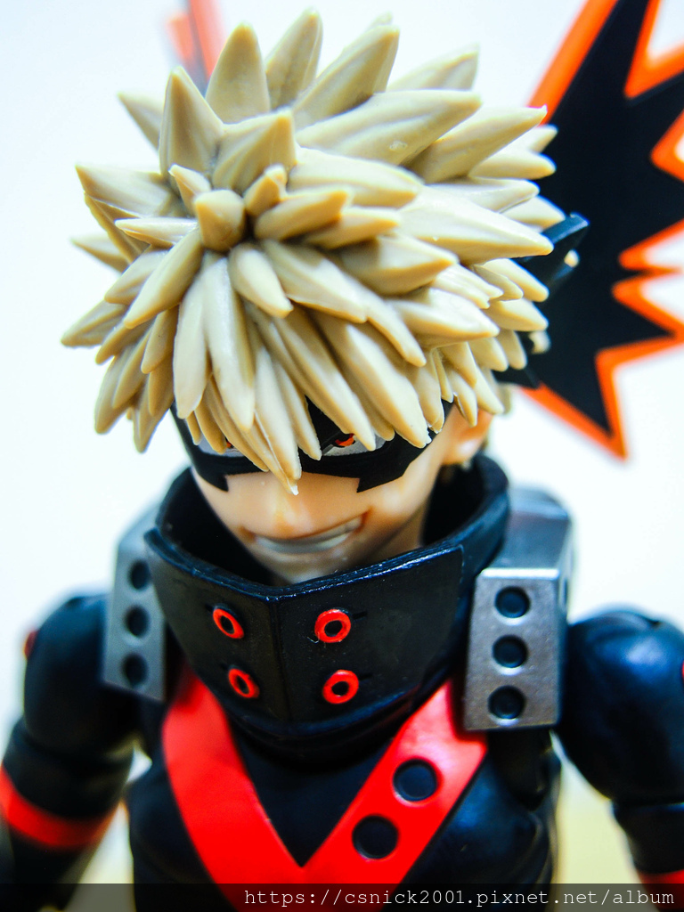 DSCN8812.jpg DSCN8812.jpg