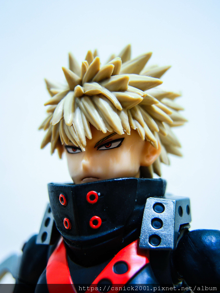 DSCN8870.jpg DSCN8870.jpg