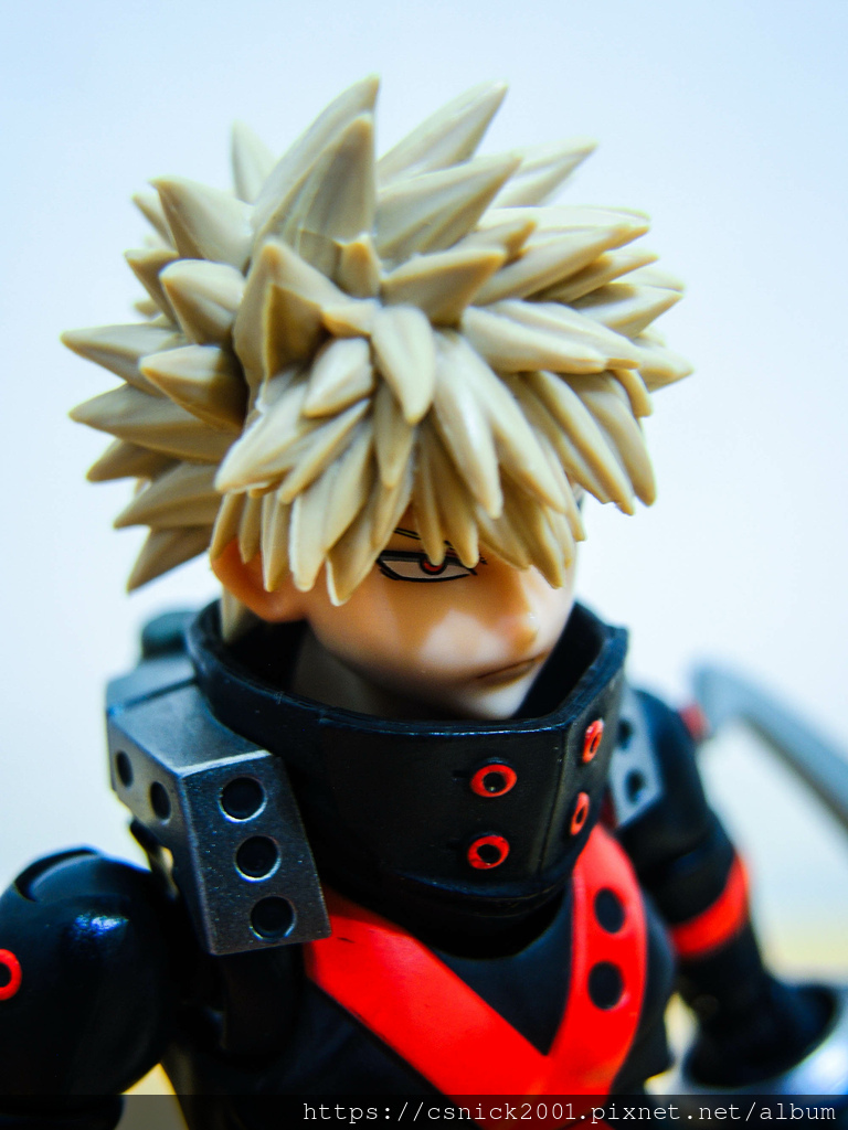 DSCN8874.jpg DSCN8874.jpg