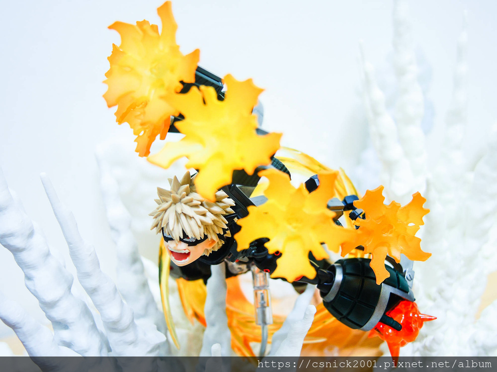 DSCN9520.jpg DSCN9520.jpg