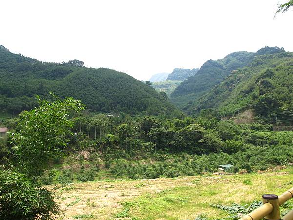 IMG_7520 IMG_7520