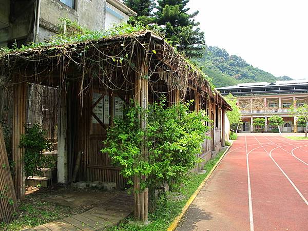 IMG_7543 IMG_7543