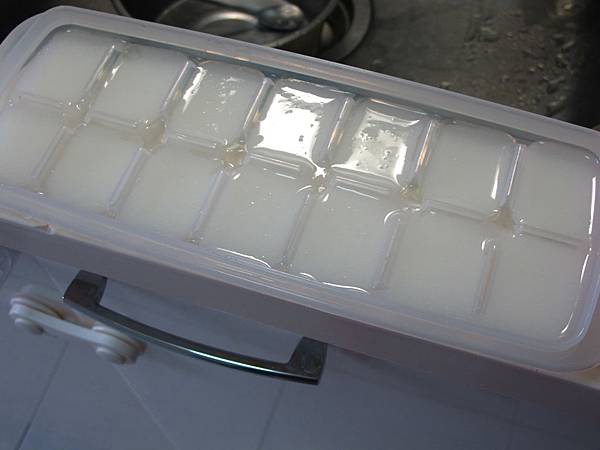 IMG_7825 IMG_7825