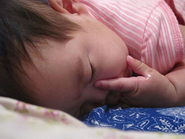 IMG_7882 IMG_7882