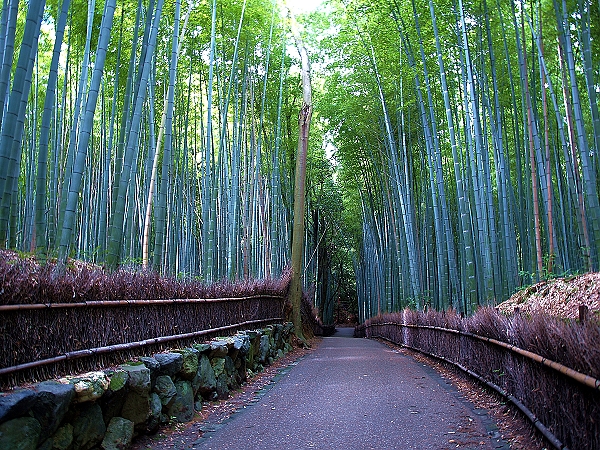 嵯峨野