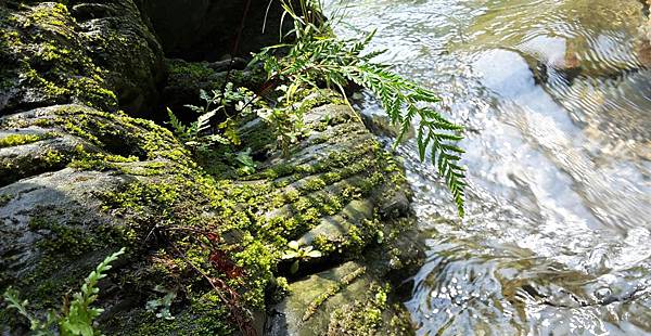 20160417_105641-1.jpg 20160417_105641-1.jpg