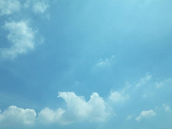 20160916_113541.jpg 20160916_113541.jpg