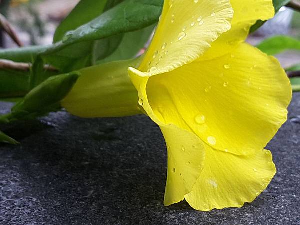 20161009_162707.jpg 20161009_162707.jpg